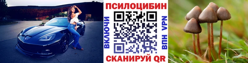 Псилоцибиновые грибы GOLDEN TEACHER  Магас 